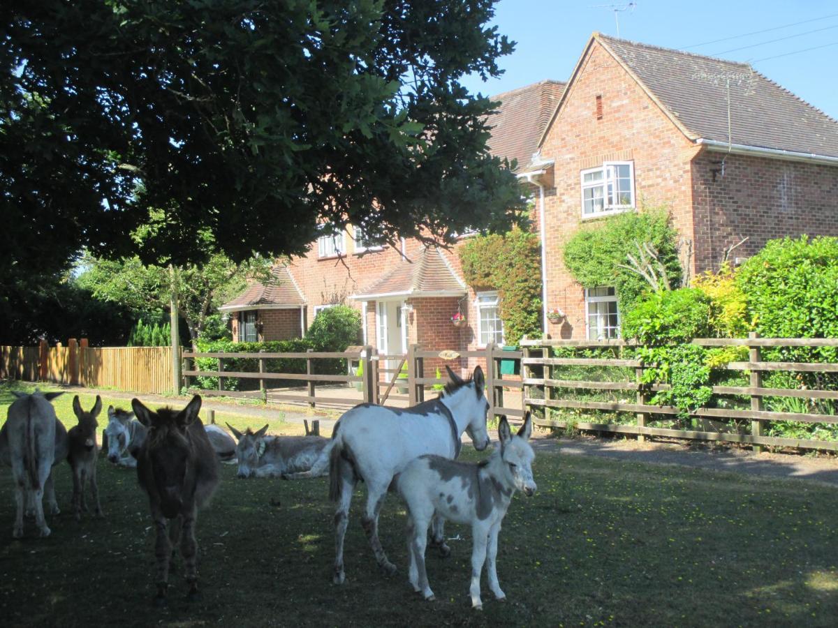 Vila Hops Main House, Brockenhurst, New Forest Exteriér fotografie