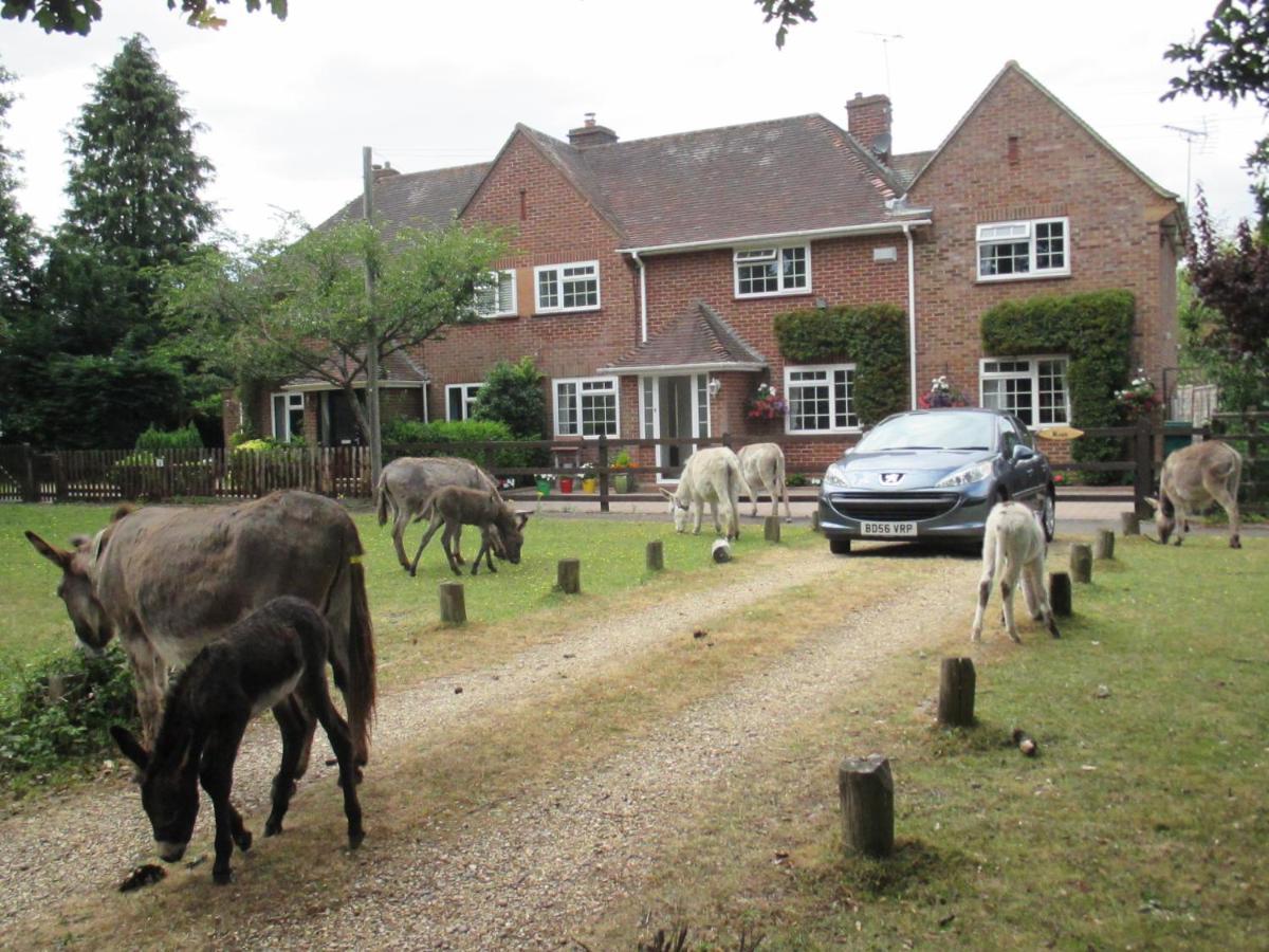 Vila Hops Main House, Brockenhurst, New Forest Exteriér fotografie